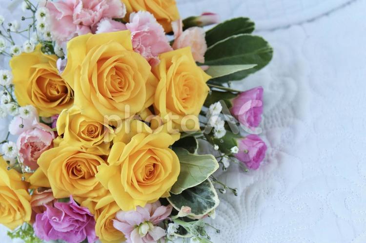 華やかな黄色の薔薇の花束　白背景 花,父の日,薔薇の写真素材