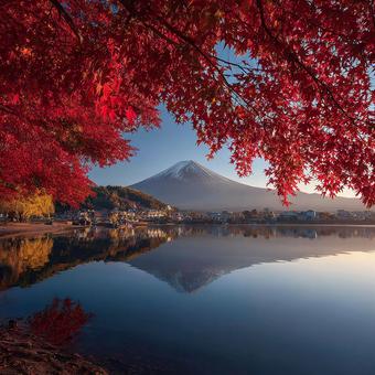 紅葉彩る富士山と湖面の絶景 紅葉彩る富士山と湖面の絶景の写真