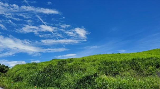 風渡る緑野 風渡る緑野 空,雲,風景の写真素材