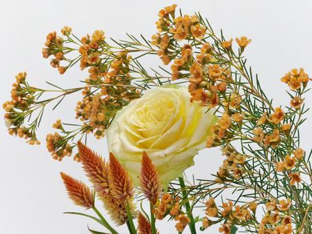 黄色のバラとオレンジ色の花 花,バラ,ワックスフラワーの写真素材
