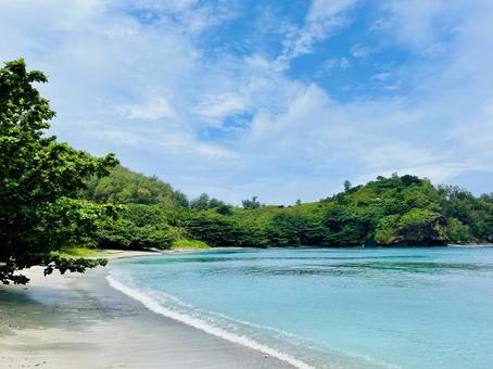 小笠原父島 宮之浜 小笠原父島 宮之浜 小笠原諸島,父島,宮之浜の写真素材