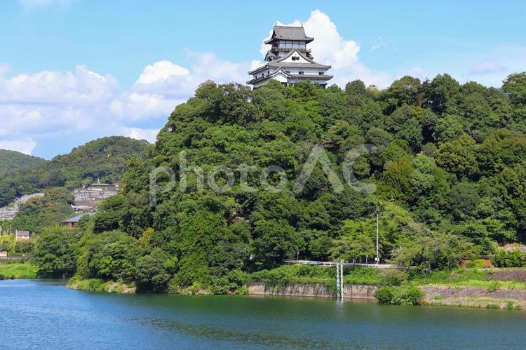 ７月下旬の国宝犬山城の天守と木曽川 犬山城,天守,城の写真素材