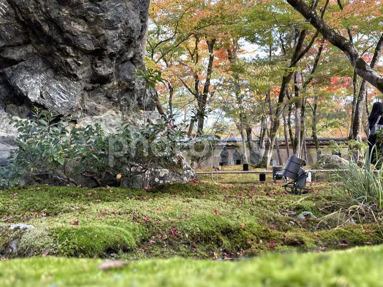 秋の自然風景3 秋,自然,緑の写真素材