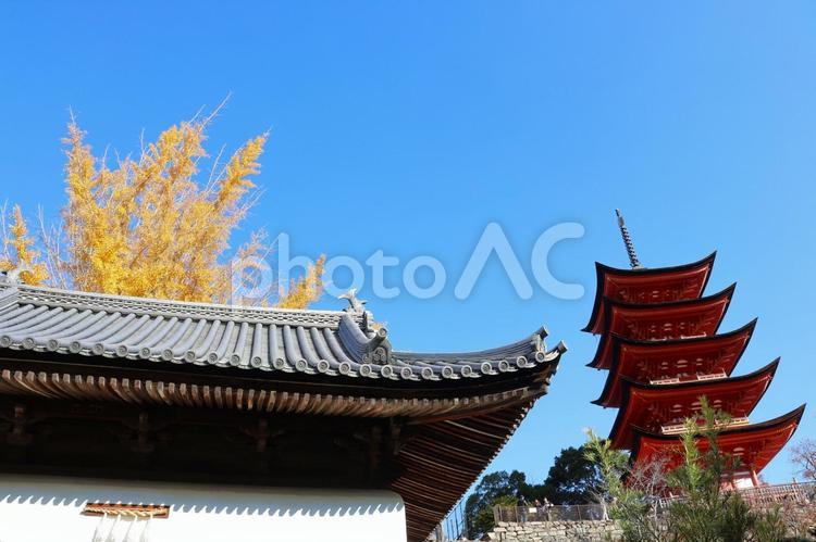 １１月下旬の安芸の宮島の豊国神社の五重塔 背景,五重塔,塔の写真素材