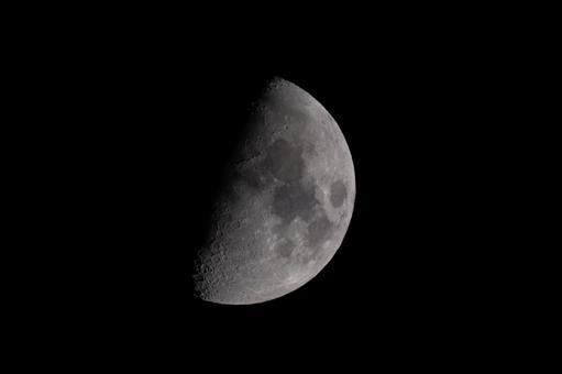 月齢7.8 月齢7.8の写真
