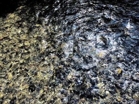 清流の流れ 清流の流れの写真
