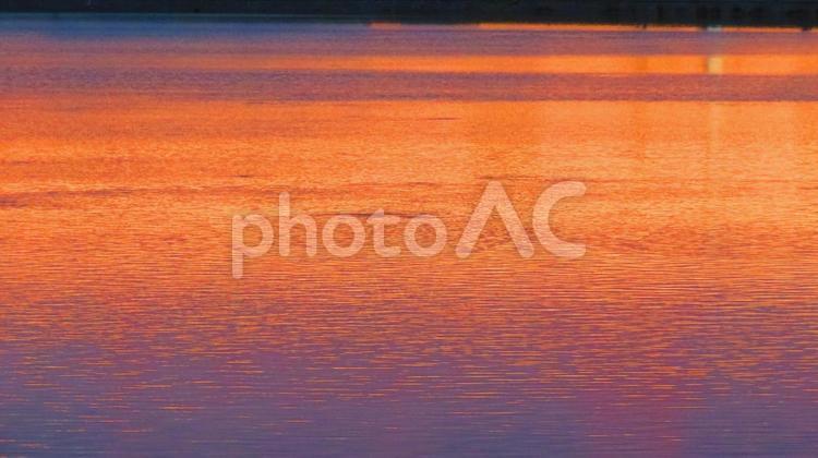 ６月下旬の野田池の夕焼け 背景,夕焼け,夕暮れの写真素材