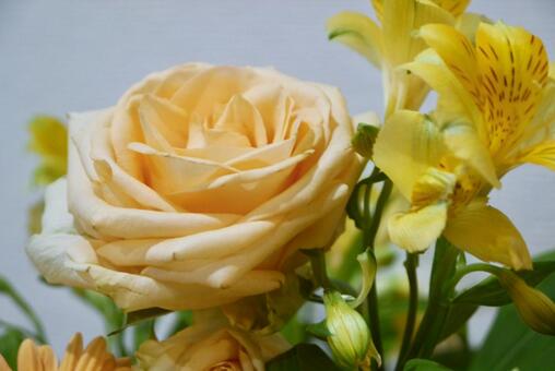 花束 4 花束,お祝い,ブーケの写真素材