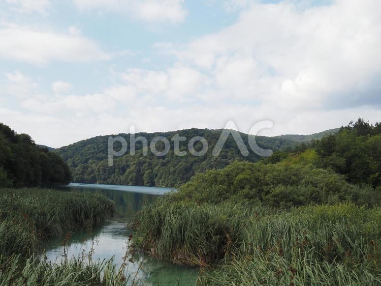 生い茂る草木と湖 自然,外国風景,海外風景の写真素材