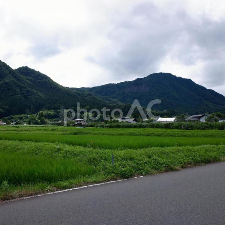 田園風景 風景,田舎,山の写真素材