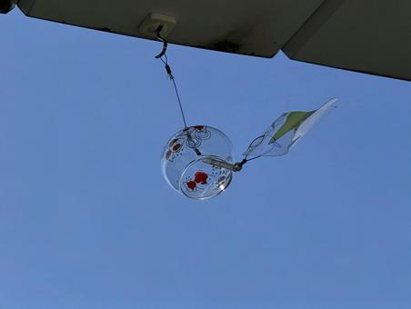 鳴り響く風鈴 鳴り響く風鈴 夏,風鈴,風物詩の写真素材