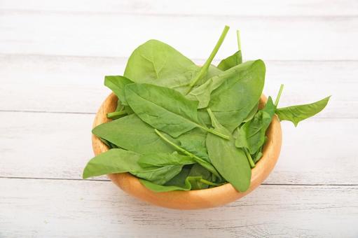 サラダほうれん草 サラダほうれん草,ほうれん草,野菜の写真素材