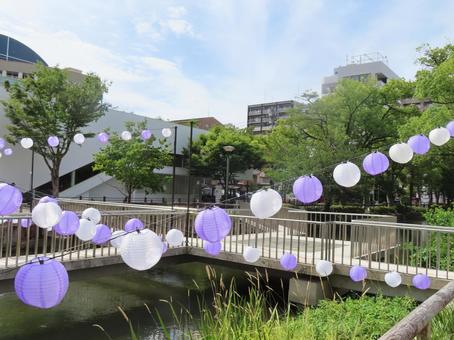 夏の提灯 夏の提灯 7月,夏,岡山の写真素材