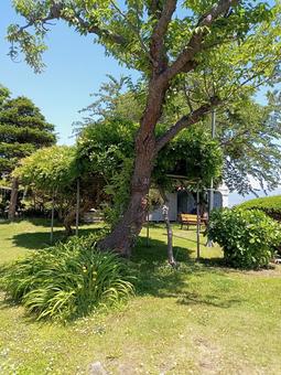 照片, 風景, 日光浴, 晴天, 