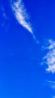 Photo, summer, blue sky, sunny, 