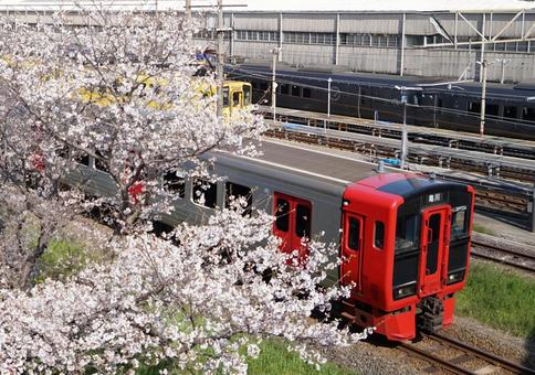 Photo, electric train, cherry blossoms, spring, 