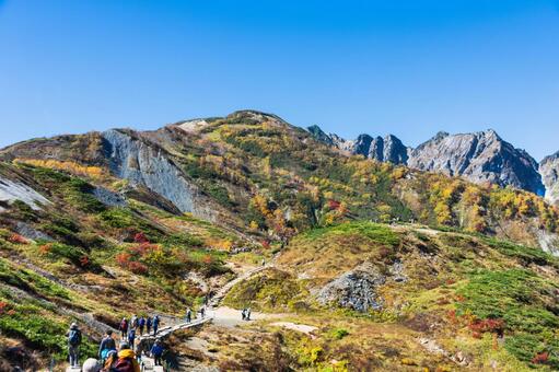 八方尾根の紅葉 白馬,八方尾根,長野の写真素材