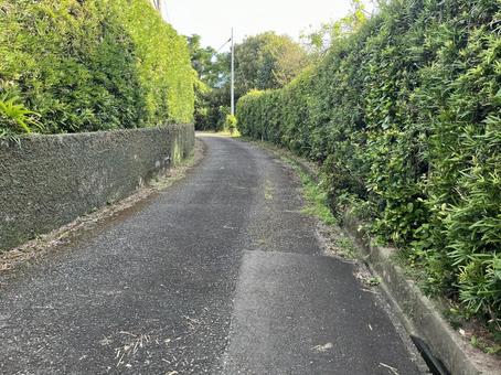 田舎道1 田舎道1の写真
