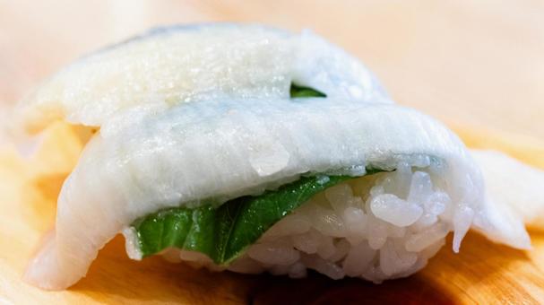 エンガワのにぎり寿司 エンガワのにぎり寿司 エンガワ,握り寿司,寿司の写真素材