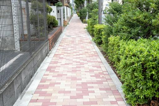 ピンクの歩道 石畳 ブロック ピンクの歩道 石畳 ブロックの写真