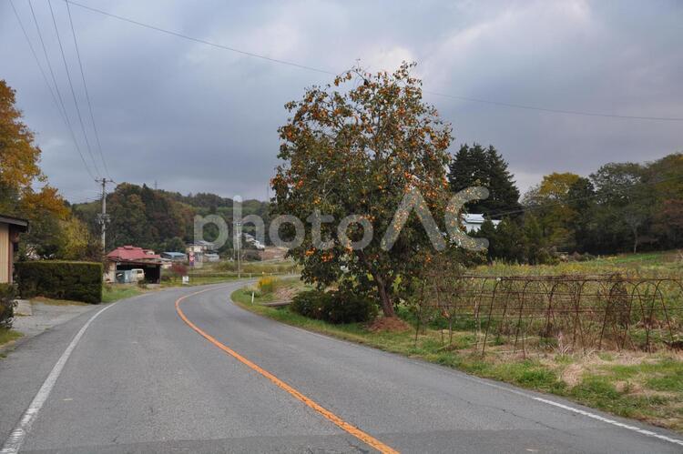 田舎の秋 2 散歩,旅,田園の写真素材