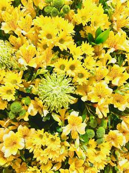 黄色い花 花,花束,フラワースタンドの写真素材