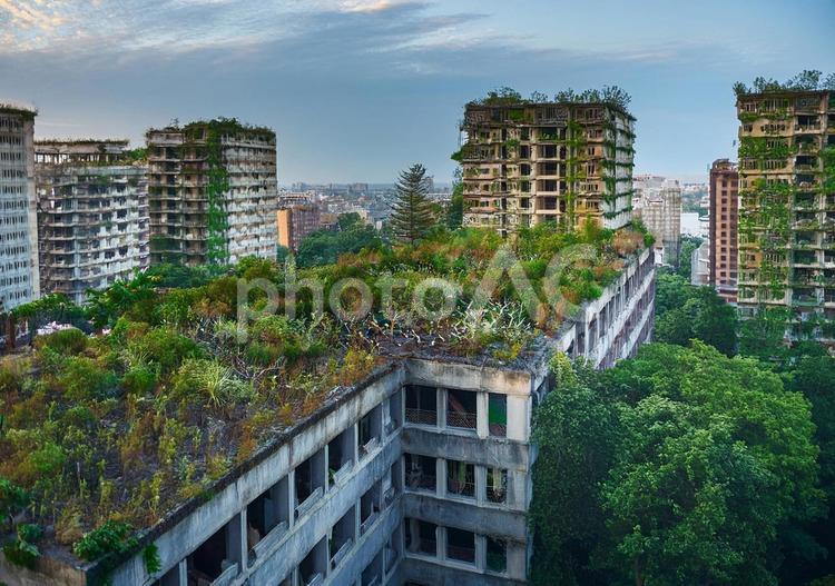 屋上の森と沈黙する廃墟 廃墟,ポストアポカリプス,屋上庭園の写真素材