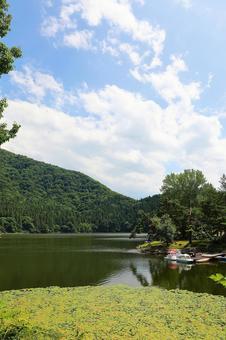 北竜湖2 北竜湖2 自然,北竜湖,飯山の写真素材
