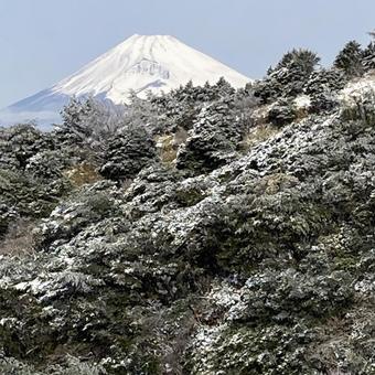 3月の富士山 3月の富士山の写真