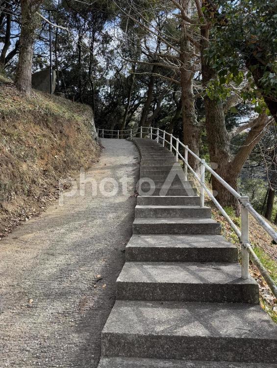 千仏鍾乳洞へ続く道 茂み,雪,平尾台の写真素材