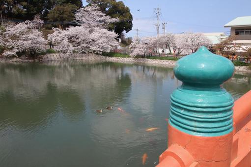 垣生公園 垣生公園,福岡県,中間市の写真素材