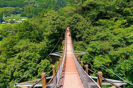 接岨峡吊橋 接岨峡吊橋 自然,大井川,大自然の写真素材