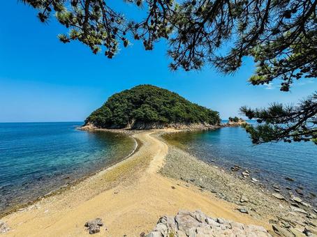 希望の道 希望の道 小豆島,希望,道の写真素材