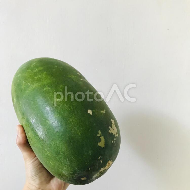 冬瓜(とうがん) 冬瓜,野菜,緑の写真素材