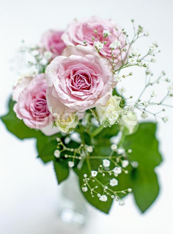 白とピンクのキュートな花束素材 花,ピンク,バラの写真素材