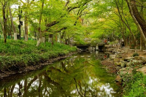 杭州・九溪 九溪,杭州,中国の写真素材