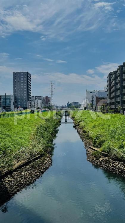 橋の上からの景色 川,土手,空の写真素材