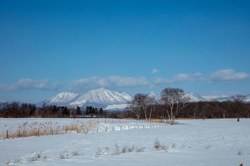 白樺の木がある冬の牧場 白樺の木がある冬の牧場 青空,雪山,雪原の写真素材