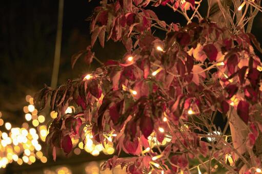 綺麗に撮れた2025小牧駅周辺イルミ０１ 小牧市,駅前,イルミネーションの写真素材