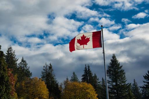 秋晴れにたなびくカナダの旗　　カナダ カナダの旗,カナダ,国旗の写真素材