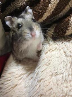 上目遣いの写真