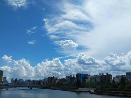 もこもことした可愛い積雲 もこもことした可愛い積雲の写真