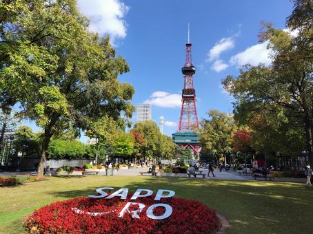 秋の札幌 大通公園 テレビ塔 秋の札幌 大通公園 テレビ塔の写真