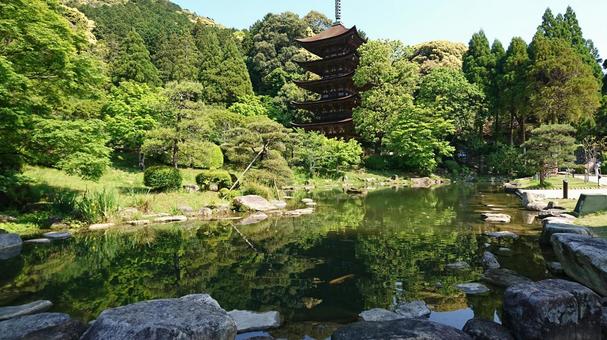 瑠璃光寺の五重塔 五重塔,山口県,瑠璃光寺の写真素材