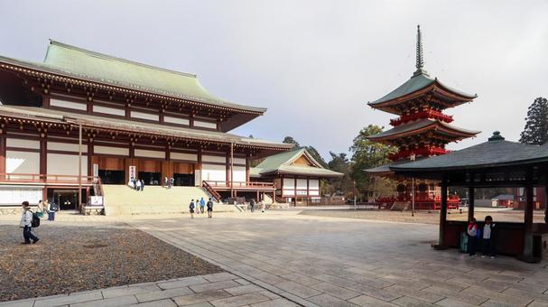 成田山新勝寺と三重塔と中庭 成田山新勝寺と三重塔と中庭 成田山新勝寺,三重塔,中庭の写真素材