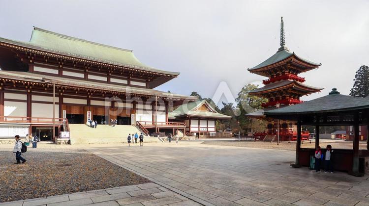 成田山新勝寺と三重塔と中庭 成田山新勝寺,三重塔,中庭の写真素材