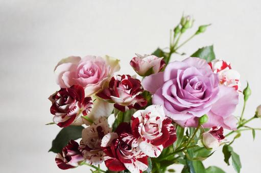 Colorful Roses, JPG Colorful Roses, JPG