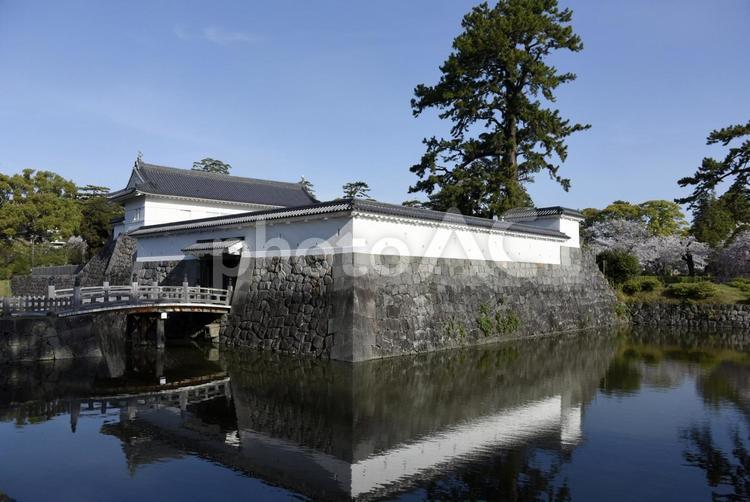 小田原さくら7 内堀,木橋,水鏡の写真素材