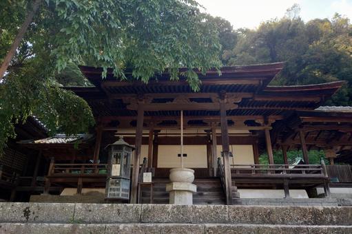 大阪府-金剛寺-五仏堂 大阪府-金剛寺-五仏堂の写真