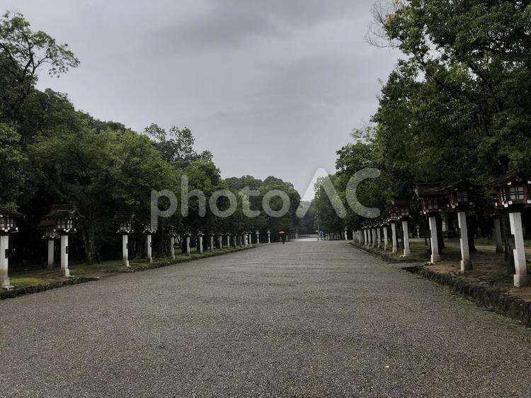 まっすぐにすすむ道 参道,道,参拝の写真素材